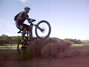 Holly Cow, what a dawg mauler