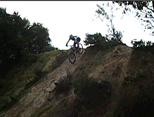 Holly Cow, what a dawg mauler