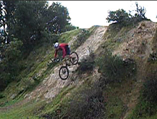 Holly Cow, what a dawg mauler